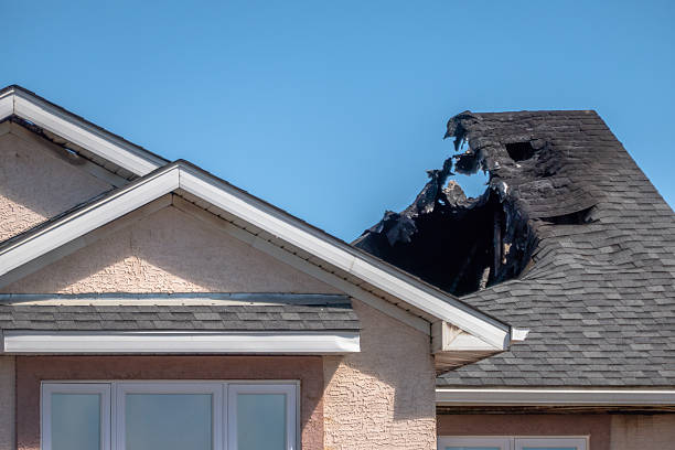 Top rated local Fire Damage Removal specialists in Washington Crossing, PA